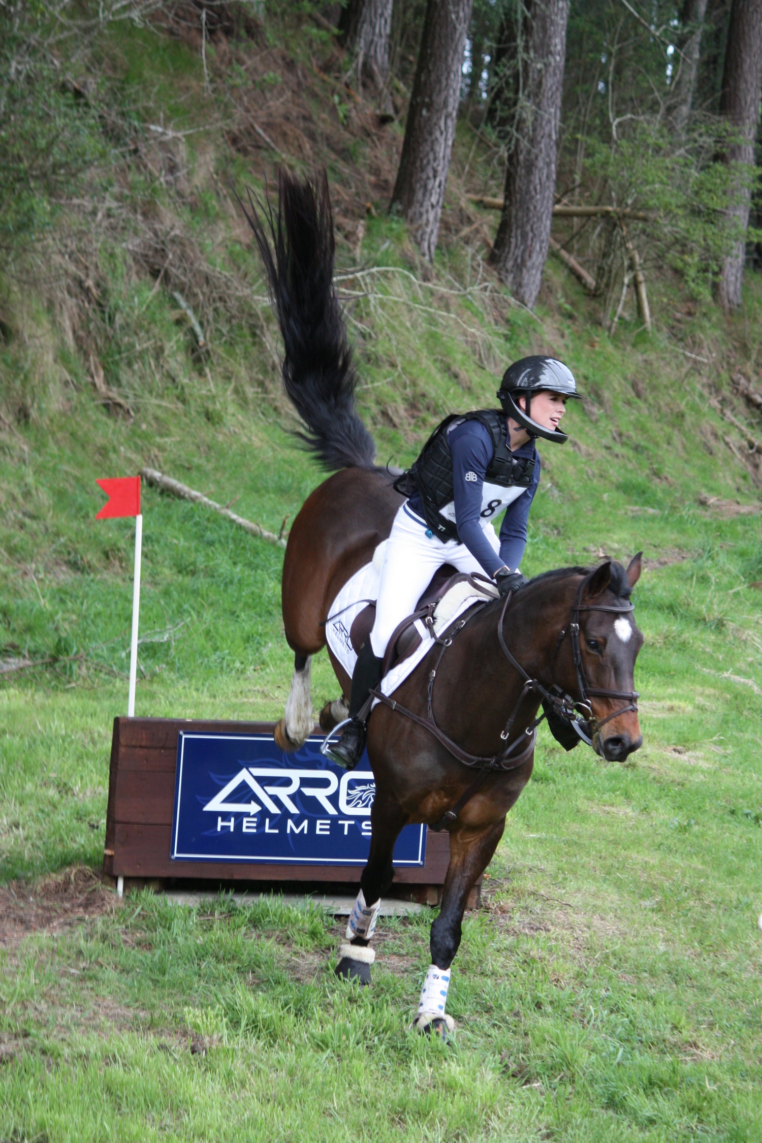 ARRO Chin Bar image 4